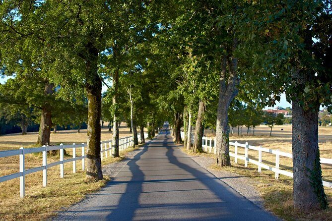 Lipica Stud Farm- Private Experience from Koper - Price and value: when it makes sense (and when it doesn’t)