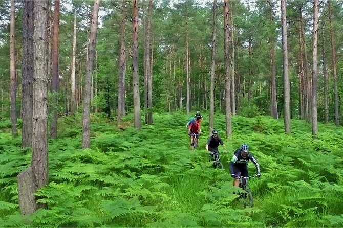 Ljubljana MTB Capital tour (e-bike enduro/all mountain) - Old Town after the ride: city sights without a second day