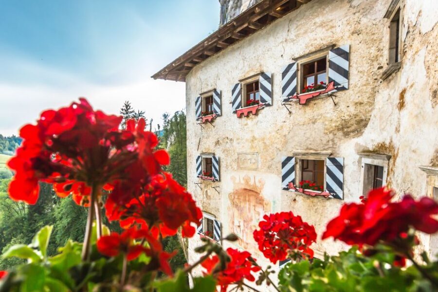 Ljubljana: Postojna Cave & Predjama Castle Tickets and Tour - Should you book this Ljubljana-to-cave-and-castle tour?