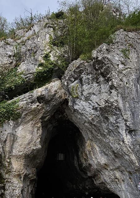 Ljubljana to Postojna Cave,Predjama Castle and Postojna park - Who this tour suits best (and who should think twice)