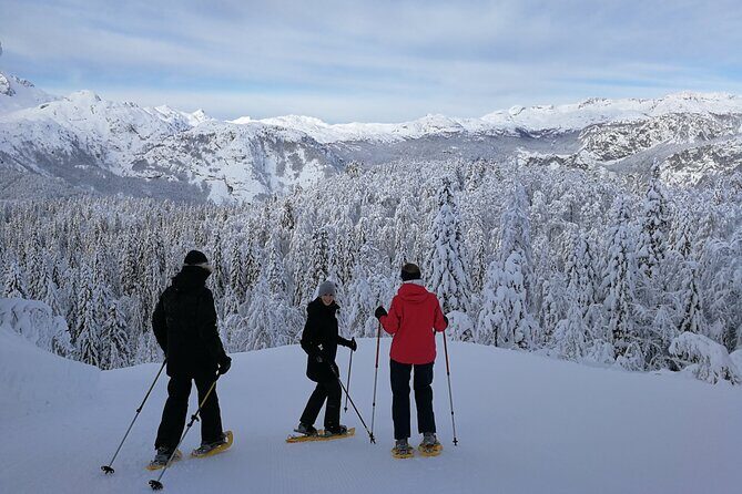 Magical Snowshoeing in Bohinj valley - Price and value: is $120 worth it?