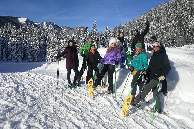 Magical Snowshoeing in Bohinj valley - Who should book this snowshoeing experience