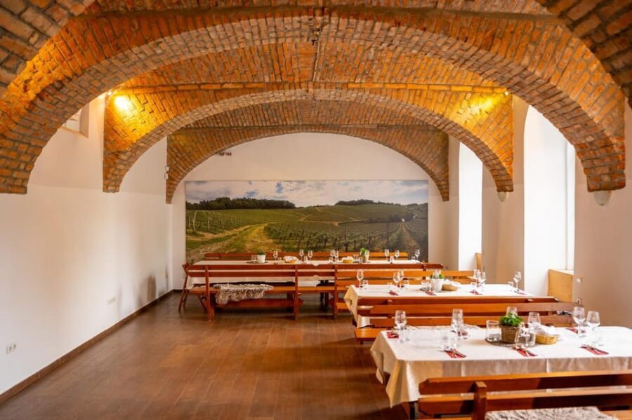 Maribor: Vinag Wine Cellar Tour with Wine tasting and snacks - The Guided Tour (45 Minutes): History, Winemaking, and Cellar Mechanics