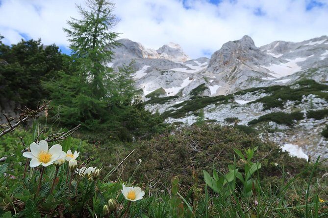 Mighty Mount Triglav Climb-summer Special-join Group - Equipment and transfers: the small details that save you stress