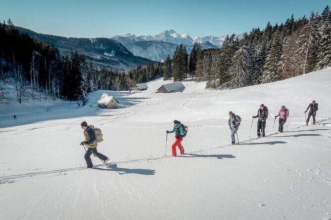 One Day Ski Touring Workshop - Avalanche Rescue Drills: Beacon Search to Probe and Shovel