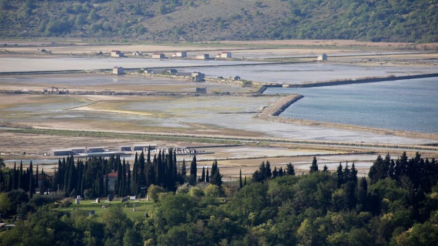 Panoramic Piran and Salt Pans: E-Bike Boutique Tour - Refošk and malvazija plus Kraški pršut: why the tasting feels worth it