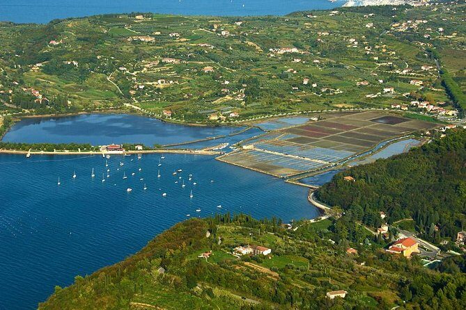 Piran and Scenic Slovenian Coast-Private Experience from Koper - The scenic drive: Portorož and Izola between the main stops
