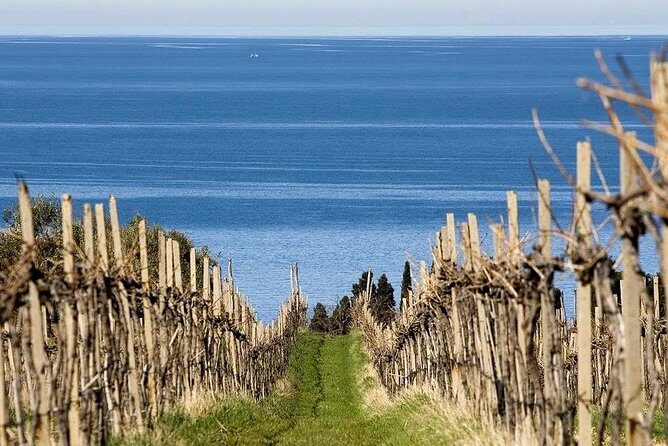 Piran and Scenic Slovenian Coast-Private Experience from Koper - Stop 4: Strunjan Nature Park and the salt fields viewpoint