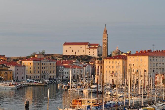 Piran and Scenic Slovenian Coast-Private Experience from Koper - Stop 5: Koper cathedral and bell tower area, then back to your ship