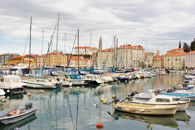 Piran & Panoramic Slovenian Coast - Small Group Tour from Koper - Food and wine tasting: how included works in real life