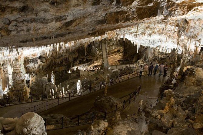 Postojna Cave with Train Ride and Predjama Castle Half Day Trip from Ljubljana - Postojna Cave: train ride in, guided walking out