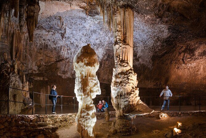 Private Tours in Slovenia from Koper - Ljubljana in a single day: what you can do without rushing