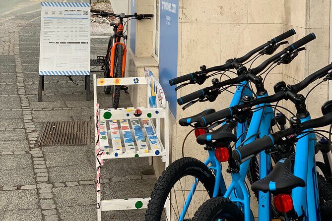 Rent a Mountain Bike in Bled - Price and Value: Why $34.85 Can Feel Like a Deal