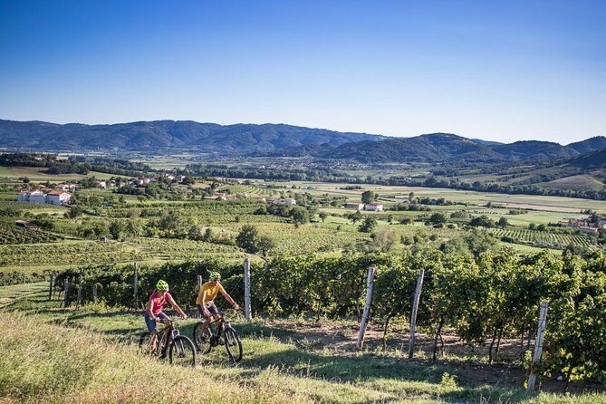 Secret vineyards E-bike tour - Key highlights you’ll care about