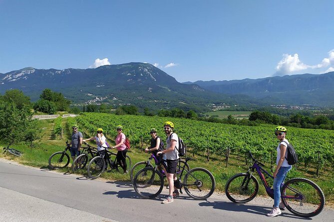 Secret vineyards E-bike tour - The wine tasting in Vipavski Križ: Secret Wine plus Zelen and Pinela