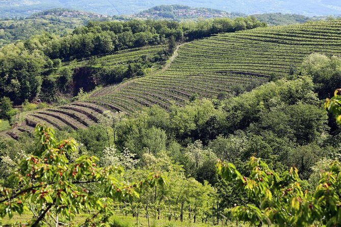 Secret vineyards E-bike tour - Price and value: what $360.03 buys you (and what it saves you)
