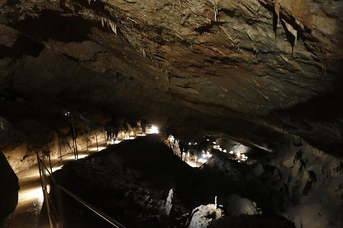 Skocjan Cave Day Tour From Ljubljana - Key things I’d plan around