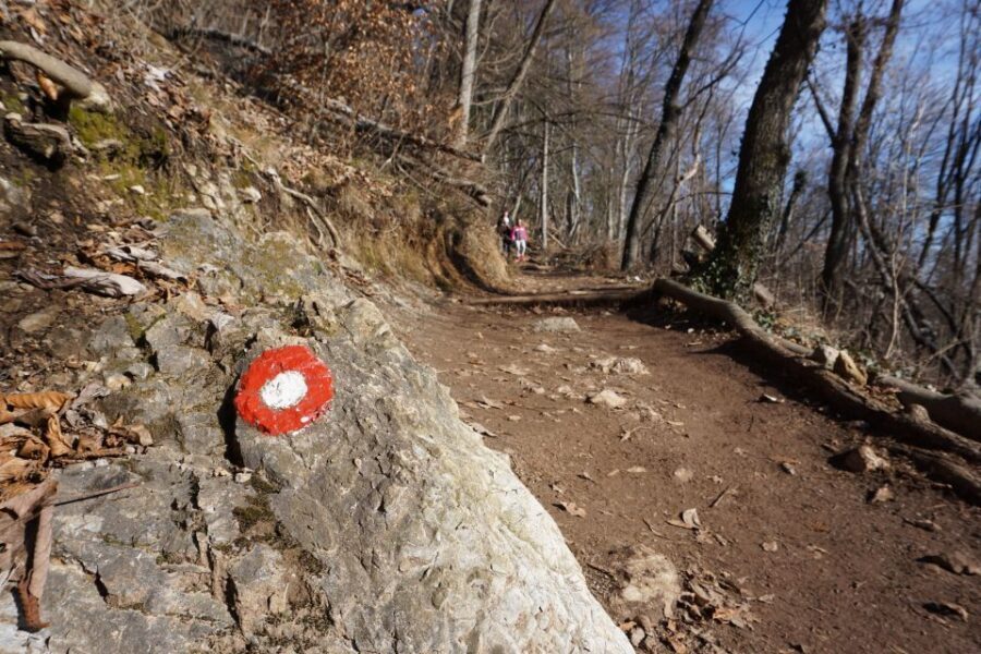 Šmarna Gora: Hiking and Food Tour from Ljubljana - The Descent Back Down: Moderate Walking, Fresh Perspective