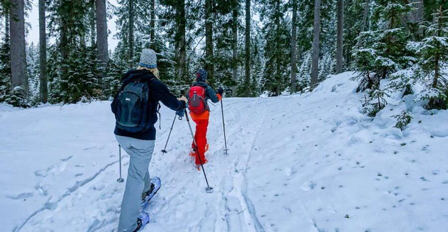 Snowshoeing in Triglav National Park - Key Highlights You’ll Actually Feel