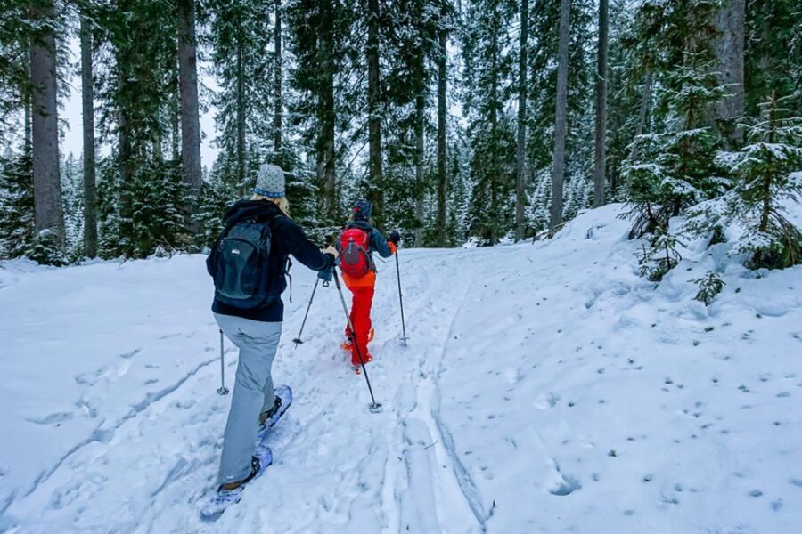 Snowshoeing in Triglav National Park - Why Triglav National Park Feels Different on Snowshoes