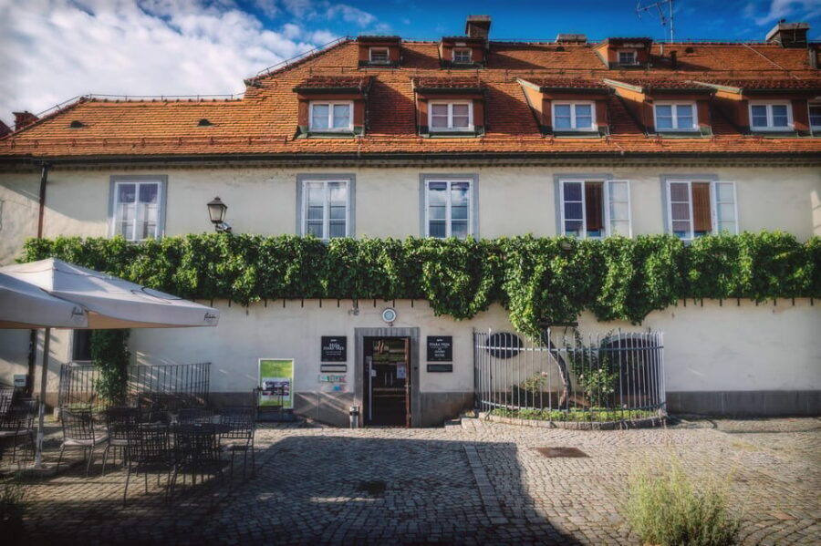 Stories and Tastes of Maribor: City Tour with Wine Tasting - A note on guide personality and the overall experience
