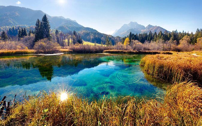 Triglav National Park and the Alps Private tour - Zelenci Nature Reserve: a non-freezing lake at about 6°C