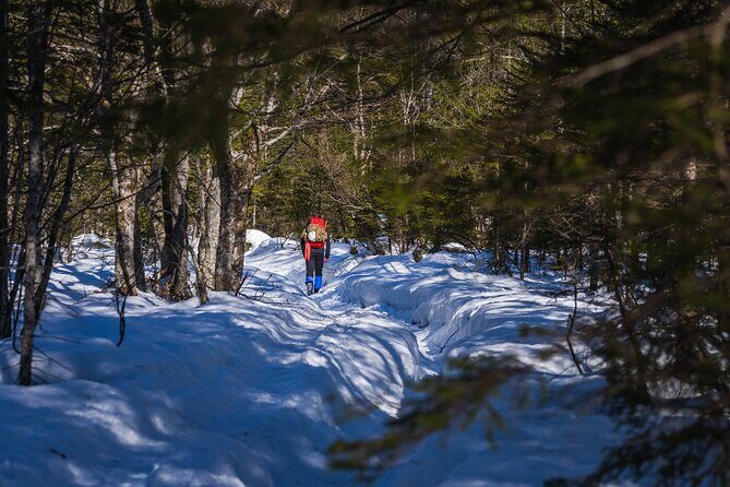 Triglav winter edition - Day 1 pacing and guide work: small group energy with real skills