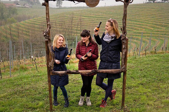 Wine and Culinary Adventure in Jeruzalem - Full Day Tour from Ljubljana or Ptuj - The value question: $402.19 and what you’re actually paying for