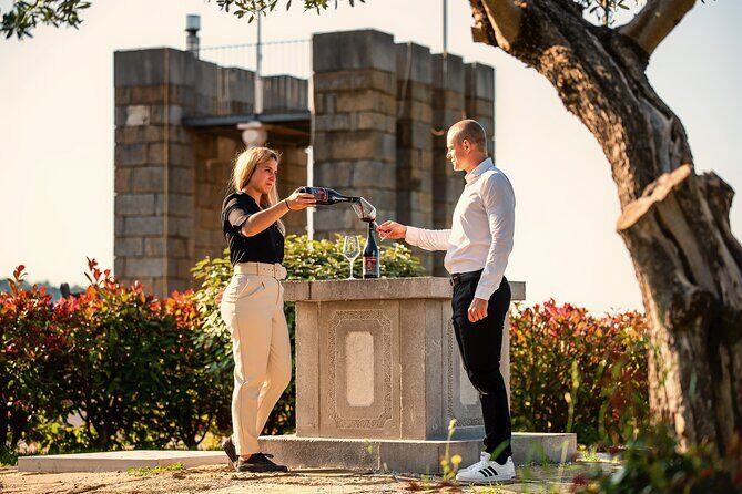 Wine Degustation in the Heart of Slovenian Istria - Key highlights before you go