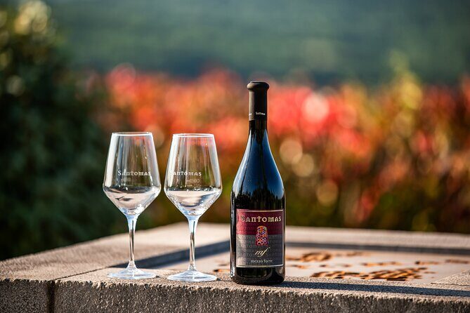 Wine Degustation in the Heart of Slovenian Istria - Wine Degustation in Koper’s Slovenian Istria: what you’re really buying