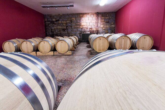 Wine Degustation in the Heart of Slovenian Istria - The wine tour piece: refosco, malvasia, and the modern-tech choices