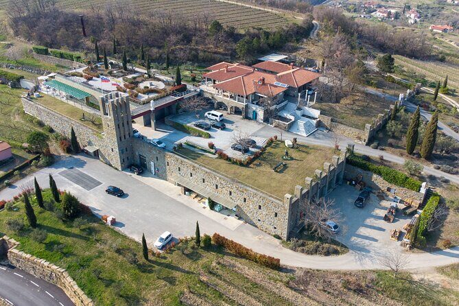 Wine Degustation in the Heart of Slovenian Istria - Santomas as a family winery: six generations, organic conversion, and olive oil built in