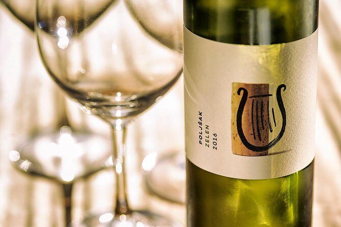 Wine Tasting with Cold Cuts - Inside the Poljšak underground cellar in Vipava