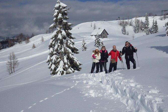 Winter Fairytale - Triglav National Park Half Day Trip - Triglav National Park at Pokljuka: glacier leftovers under your feet
