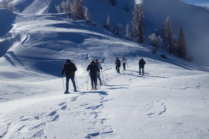 Winter Fairytale - Triglav National Park Half Day Trip - Lake Bohinj in winter: frozen views and a quick first win